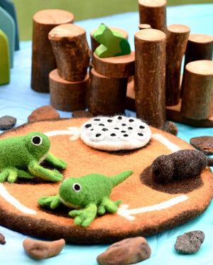 Felt Lifecycle of a Frog