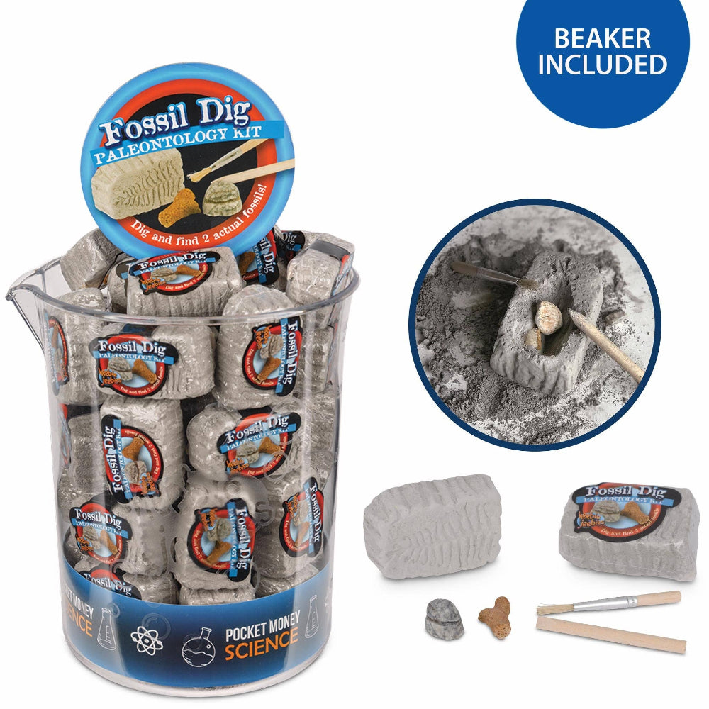 Fossil Dig Palaeontology kit