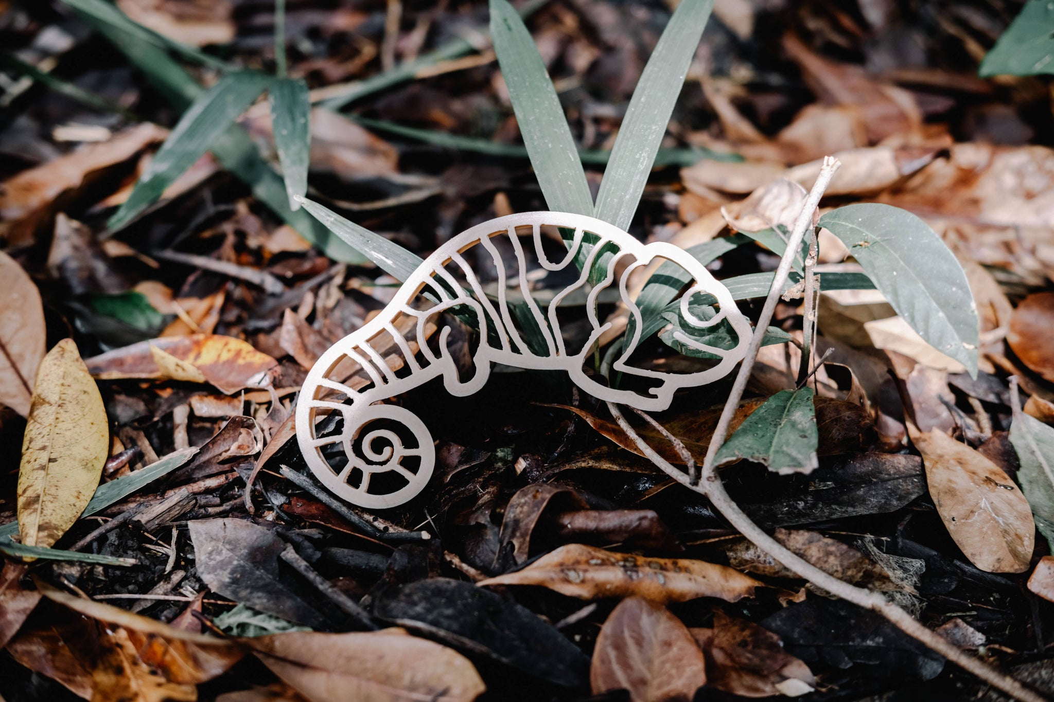 Chameleon Cutter - Eco Playdough Tool