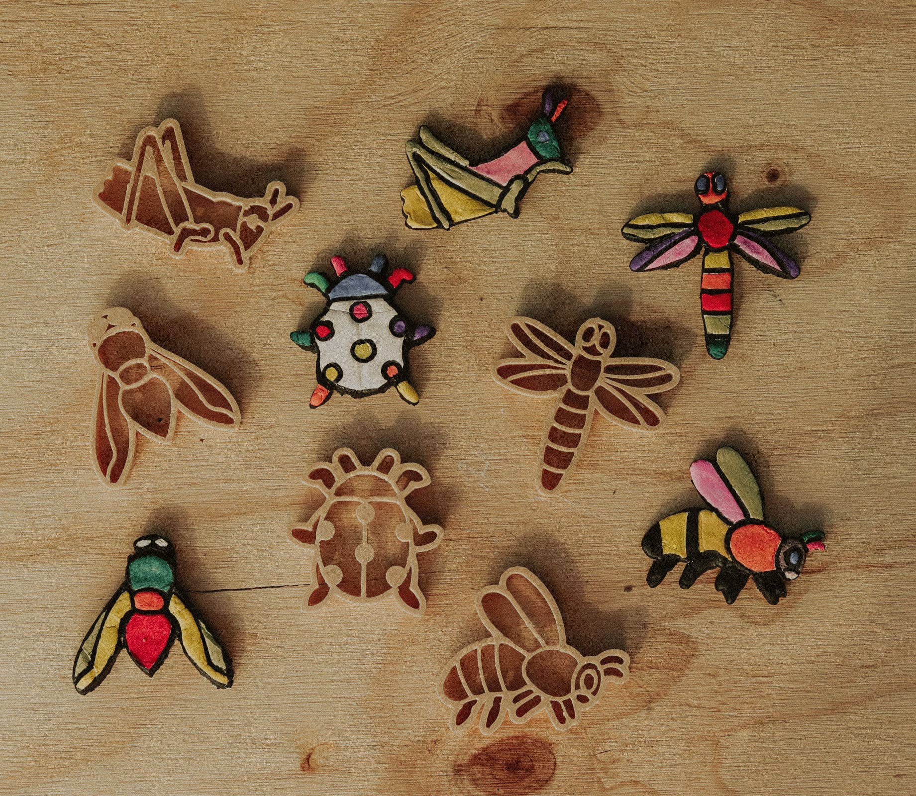 Insect Cutter Set - Eco Playdough Tool