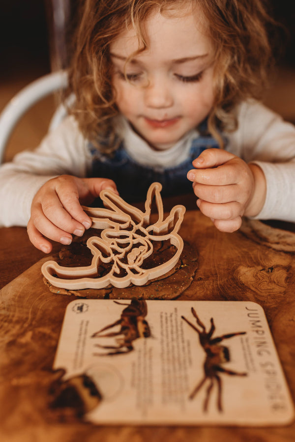 Jumping Spider Cutter - Eco Playdough Tool - My Hardie