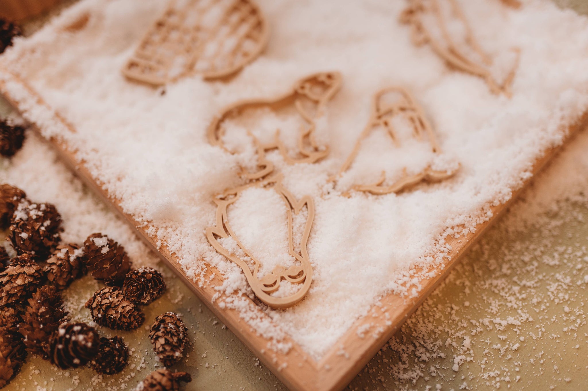 Arctic Cutter Set - Eco Playdough Tool