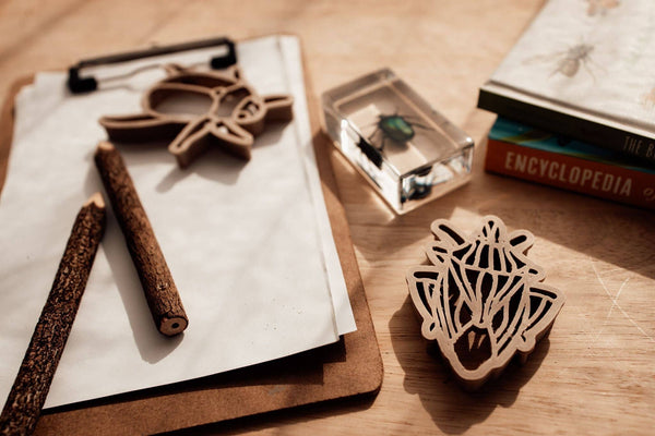 Bug Cutter Set – Eco Playdough Tool - My Hardie