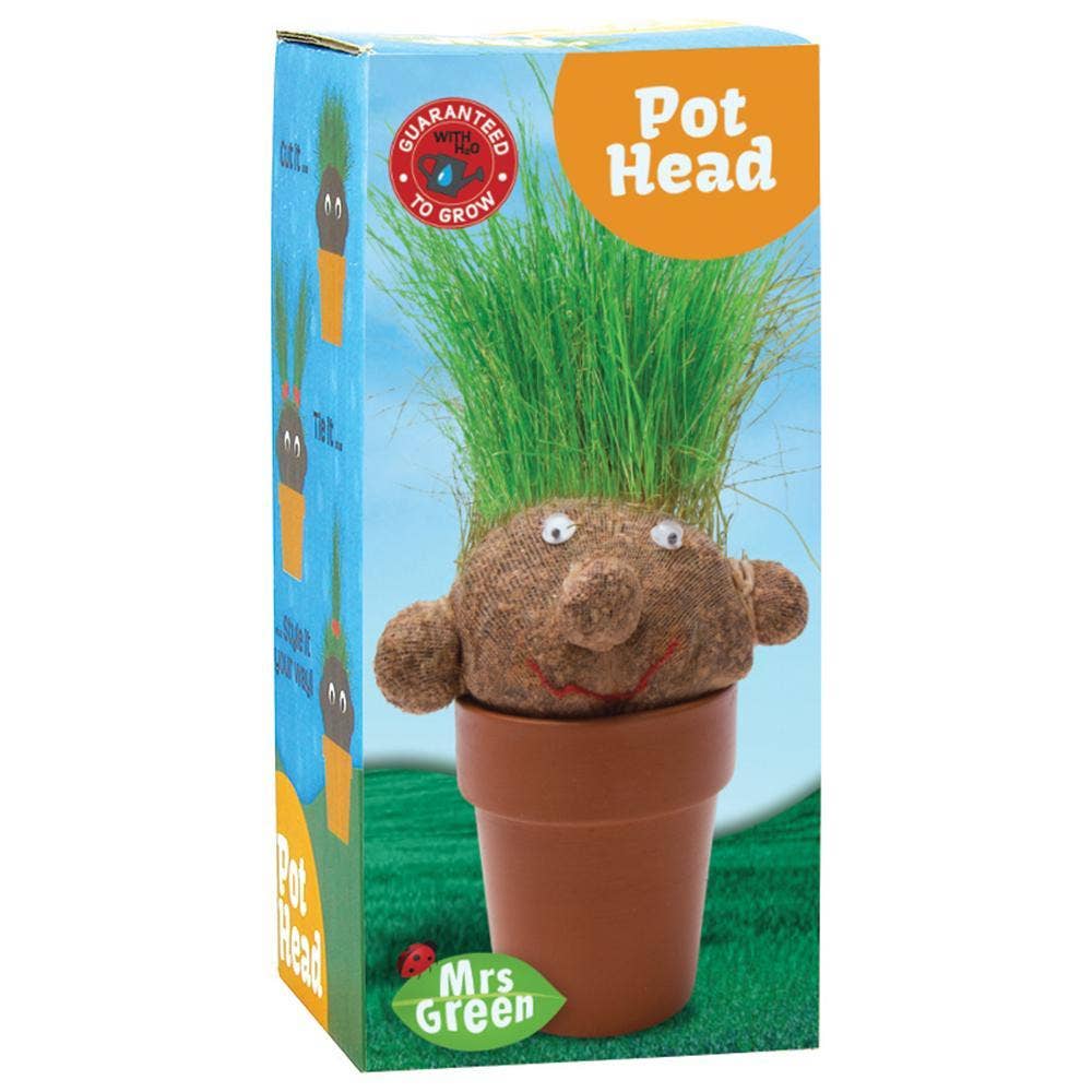 pot heads plant shop Pot Head | Grass Growing Head | Plant Head
