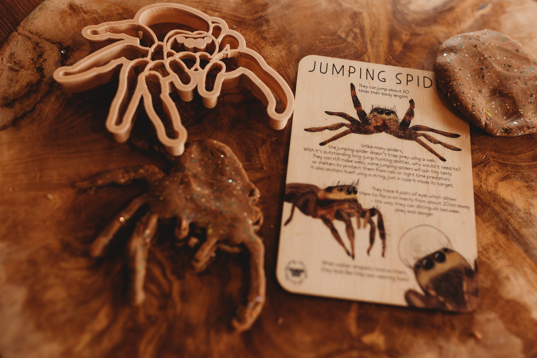 Jumping Spider Cutter - Eco Playdough Tool
