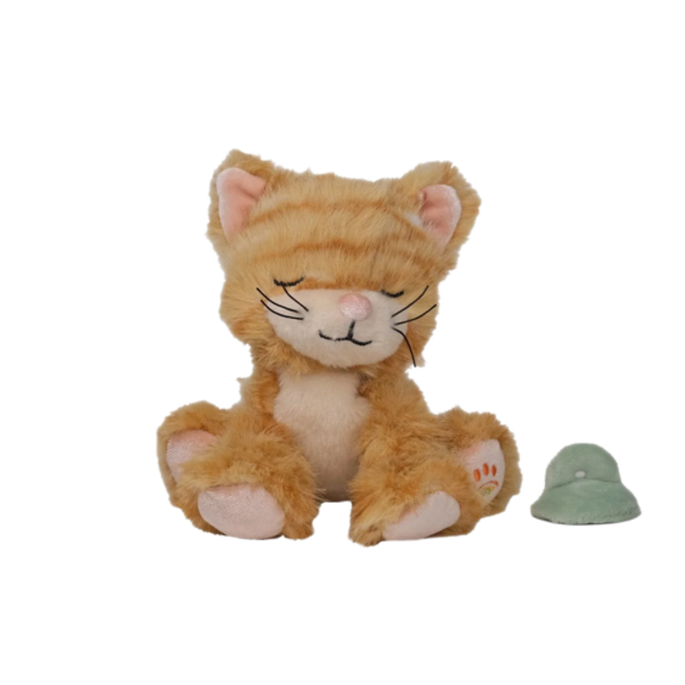 Binky Kitten - Koda