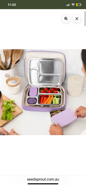 Crunchbox Lunchbox - large