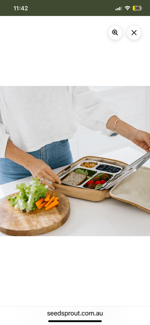 Insulated CrunchCase Lunch Bag