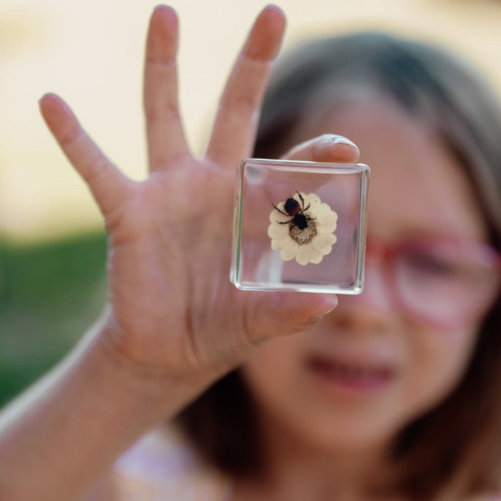 Bee + Flower Specimen