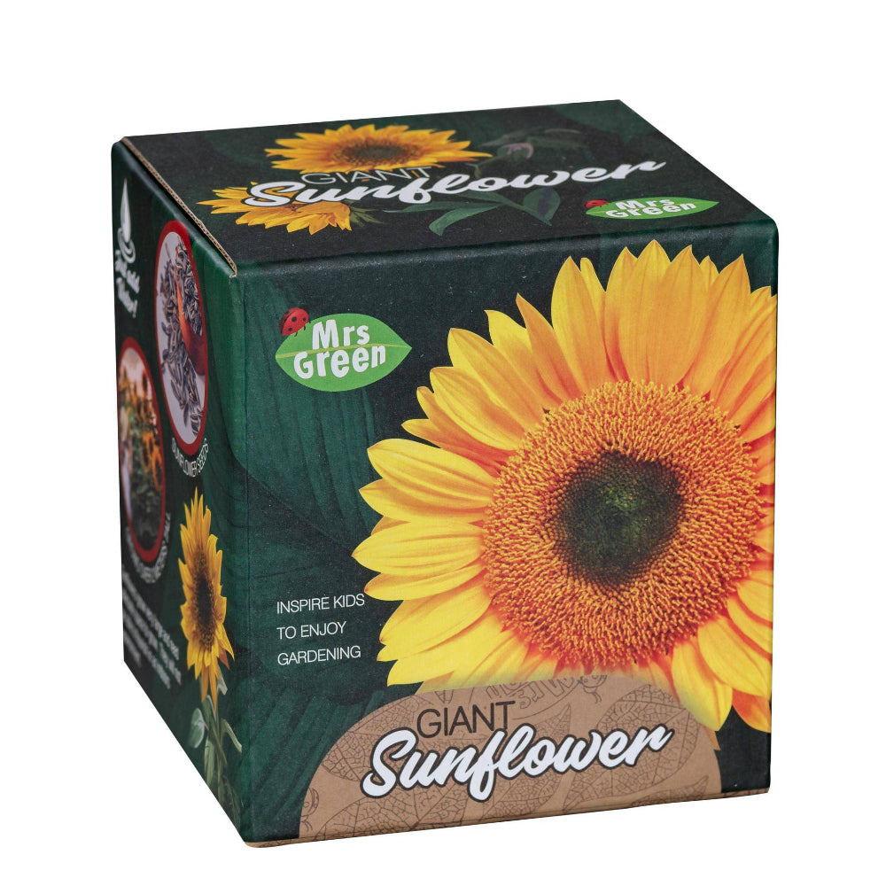 Giant Sunflower | Grow your own Sunflower