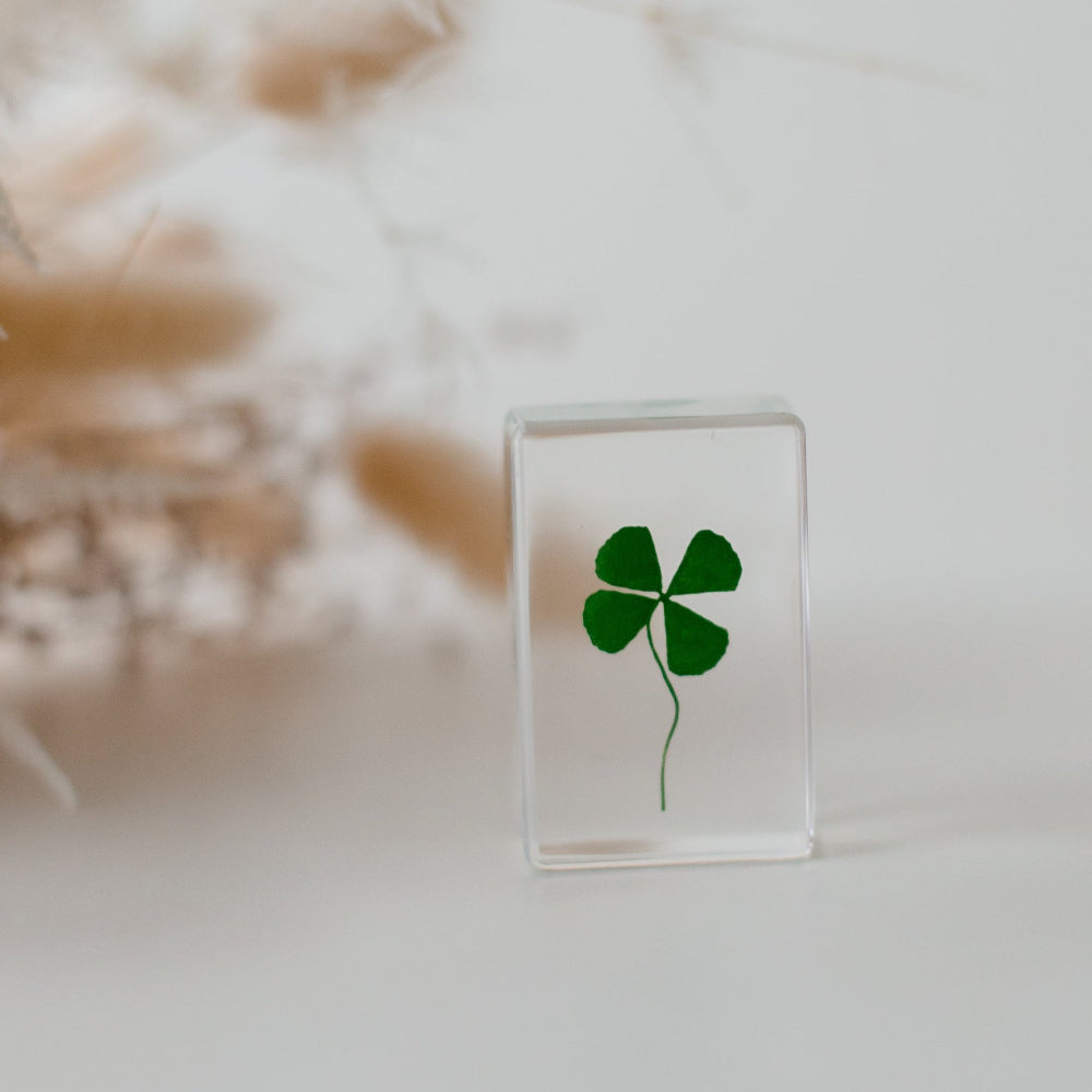 Four-Leaf Clover Specimen