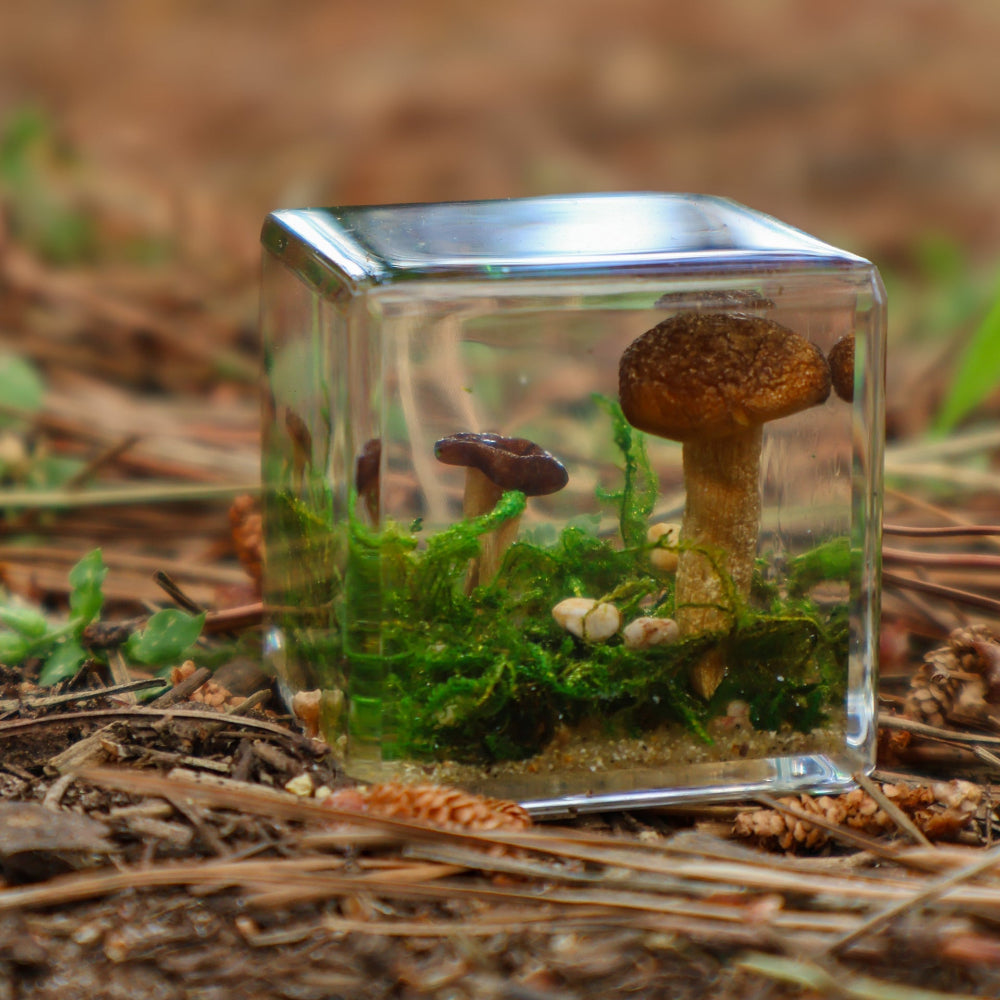 Mushroom + Moss Cube Specimen