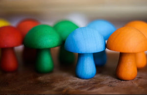 Coloured Mushrooms