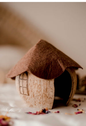 Coconut Gnome House