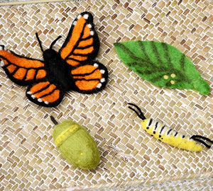Felt Lifecycle of Monarch Butterfly