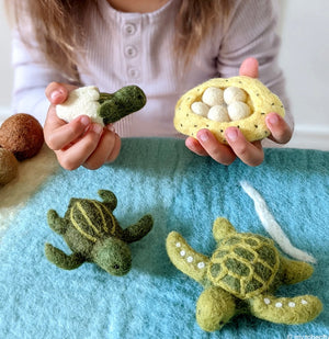 Felt Lifecycle of Green Sea Turtle toy