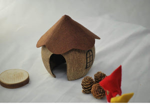 Coconut Gnome House
