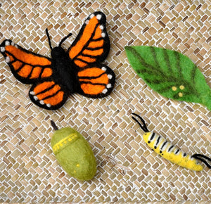Felt Lifecycle of Monarch Butterfly