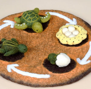 Felt Lifecycle of Green Sea Turtle toy
