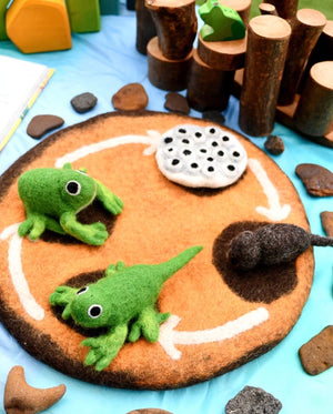 Felt Lifecycle of a Frog
